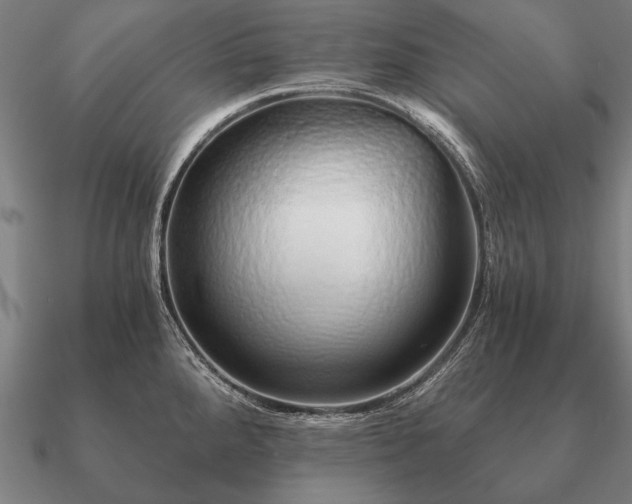 X0000090901288200708061457