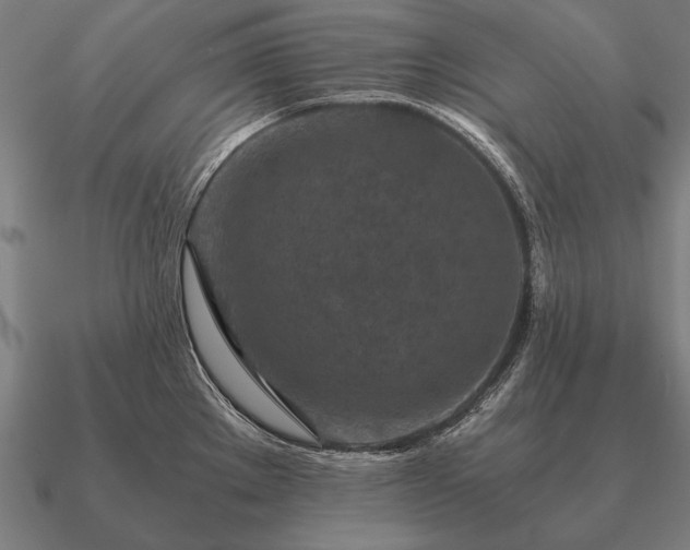 X0000090901289200708061457