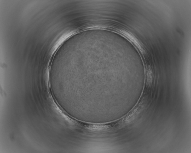 X0000090901290200708061457