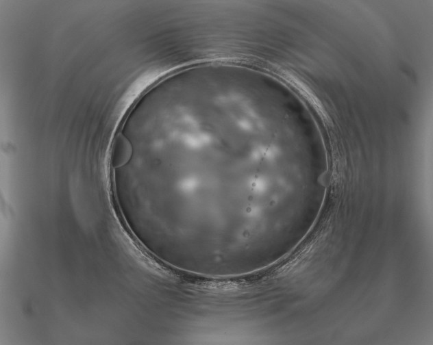 X0000090901291200708061457