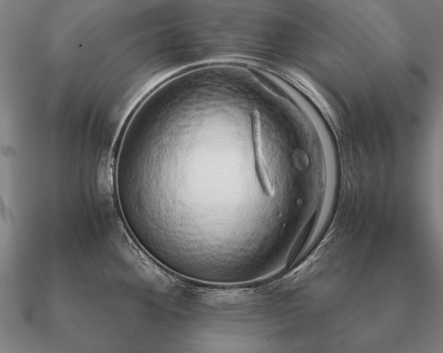 X0000090901292200708061457