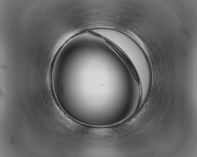 X0000090901293200708061457