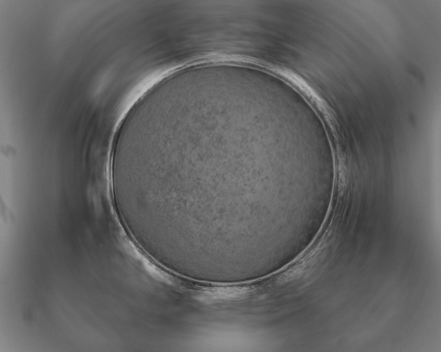 X0000090901294200708061457