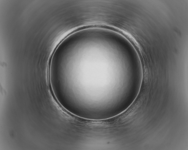 X0000090901295200708061457