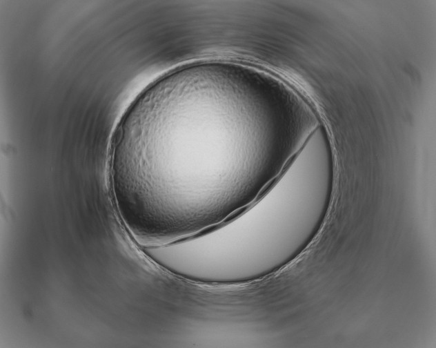 X0000090901296200708061457