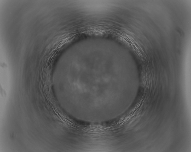 X0000090901297200708061456