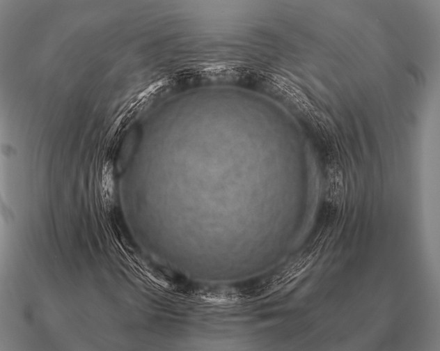 X0000090901298200708061456