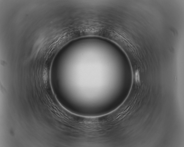 X0000090901299200708061456