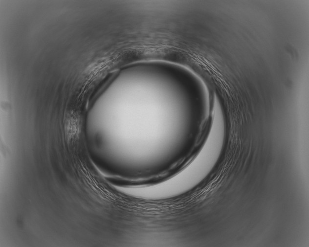 X0000090901300200708061456