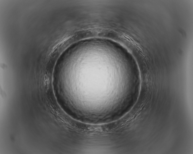 X0000090901302200708061456