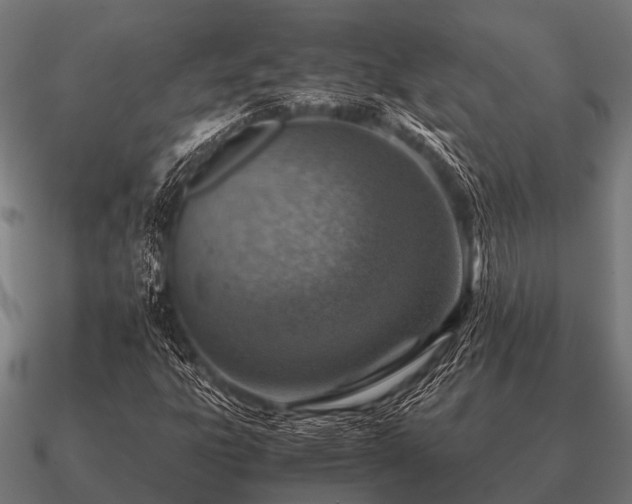 X0000090901303200708061456