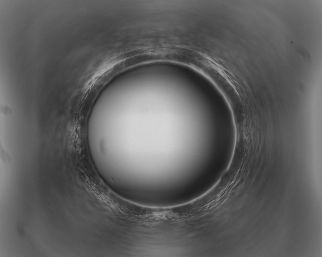 X0000090901304200708061456