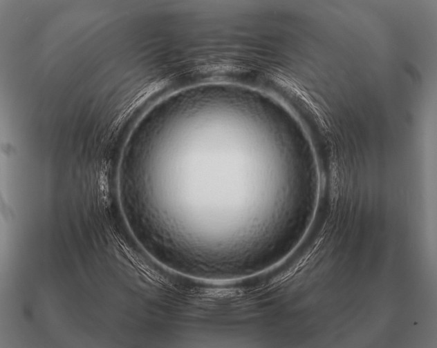 X0000090901305200708061456