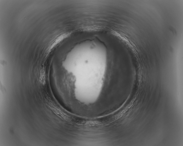 X0000090901306200708061456