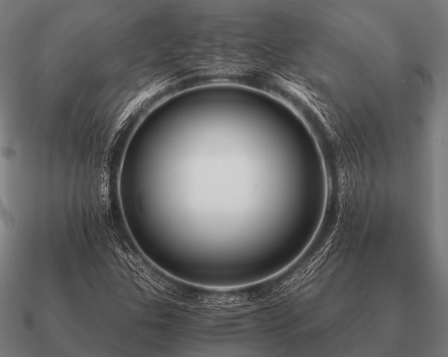 X0000090901307200708061456