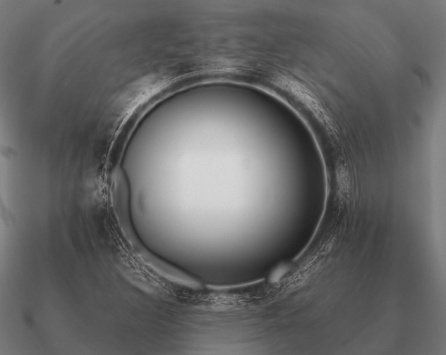 X0000090901308200708061456