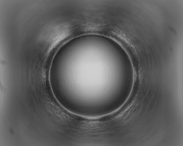 X0000090901309200708061456