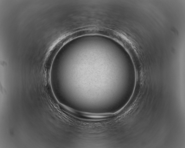 X0000090901310200708061456