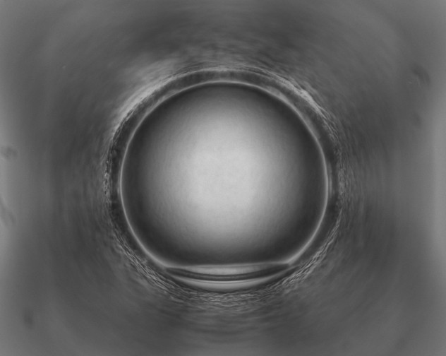 X0000090901311200708061456