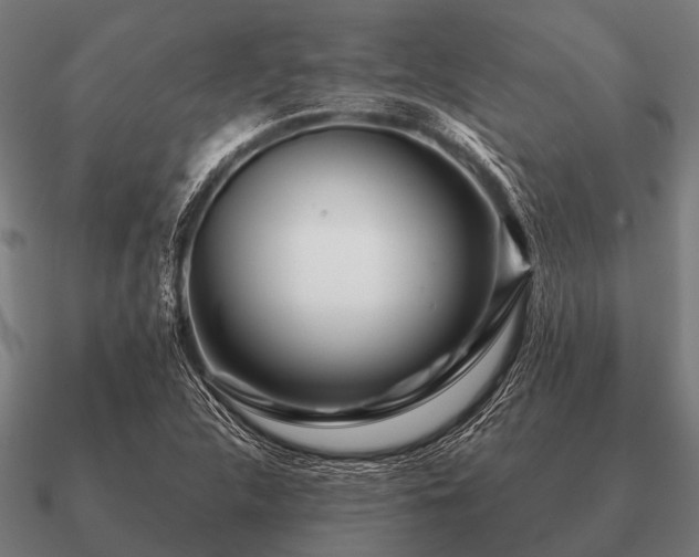 X0000090901312200708061456