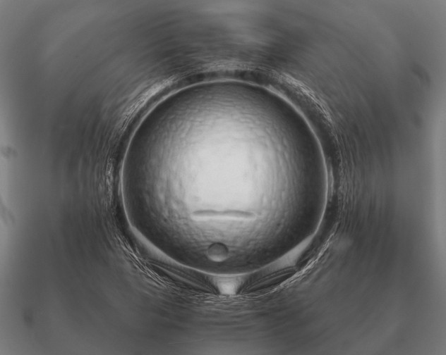 X0000090901313200708061456