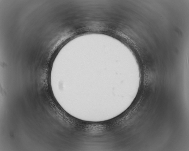 X0000090901314200708061456