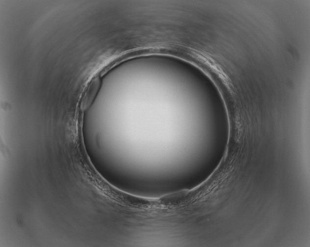 X0000090901316200708061456