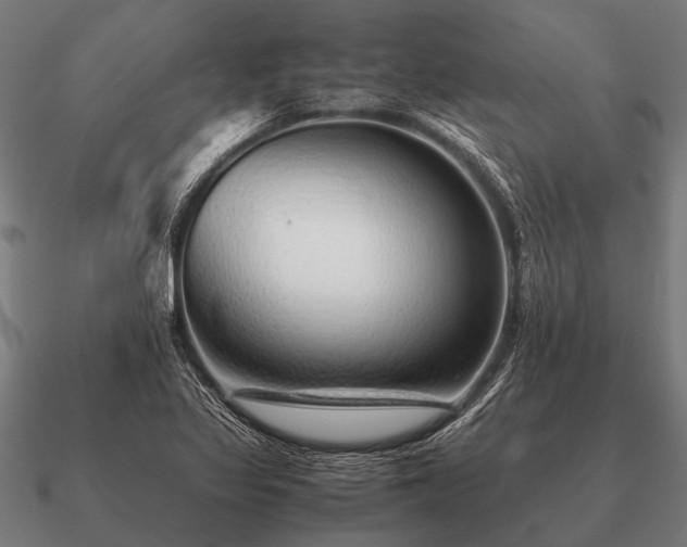 X0000090901317200708061456