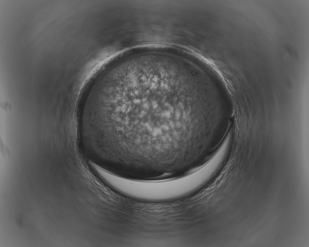 X0000090901319200708061456