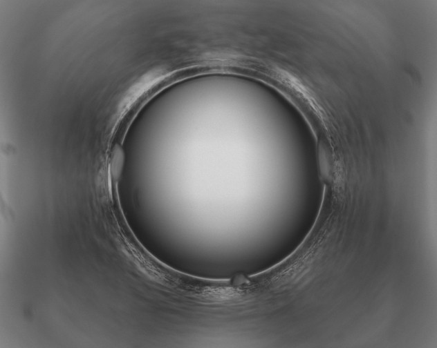 X0000090901320200708061456