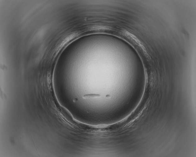 X0000090901321200708061456