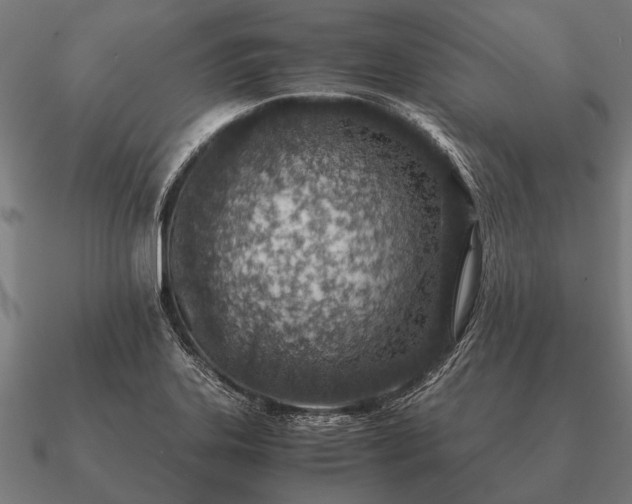 X0000090901323200708061456