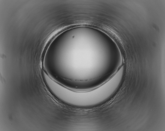 X0000090901324200708061456