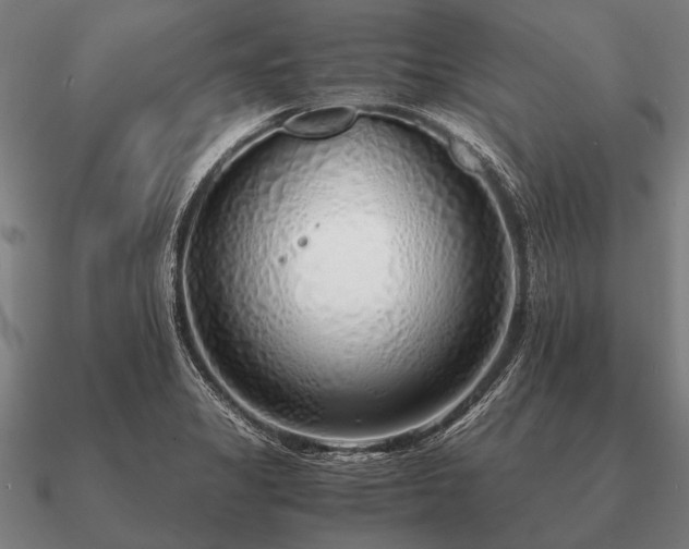 X0000090901325200708061456