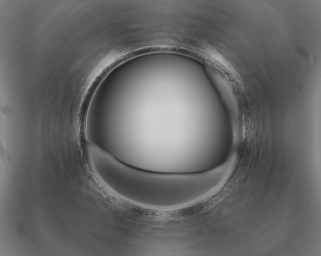 X0000090901326200708061456