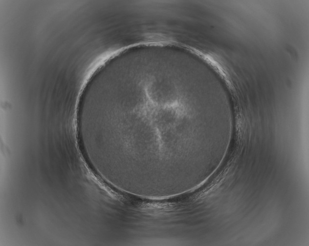 X0000090901327200708061456