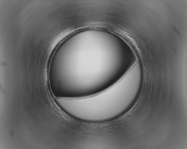 X0000090901328200708061456