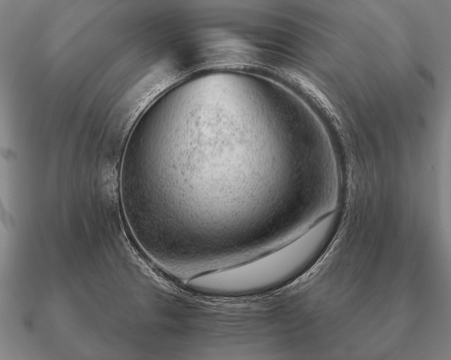 X0000090901329200708061456