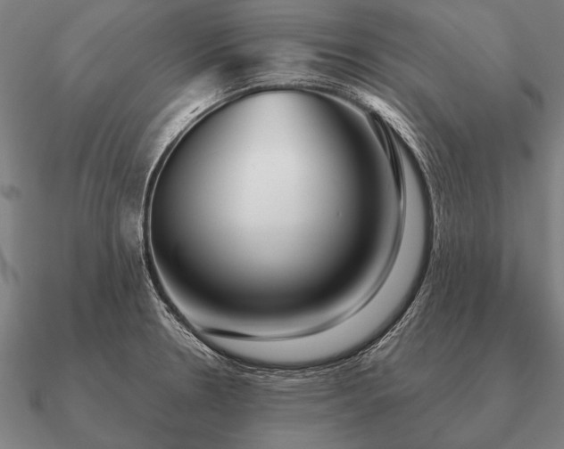 X0000090901330200708061456