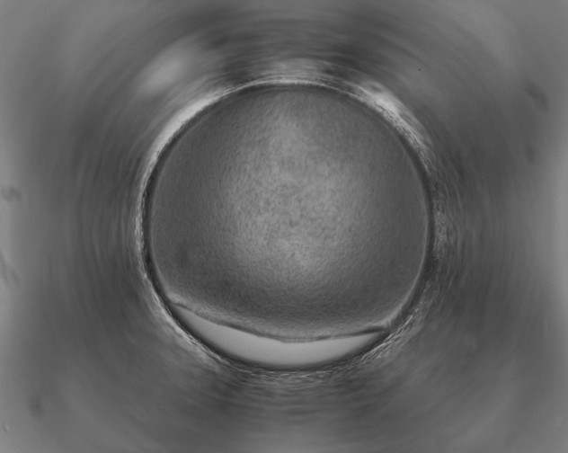 X0000090901331200708061456