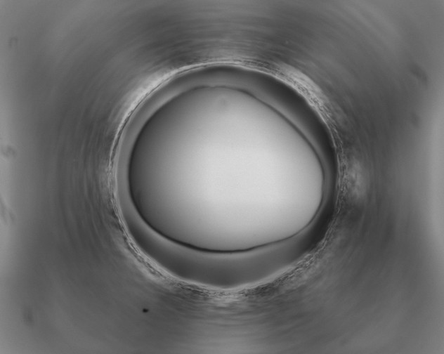 X0000090901332200708061457