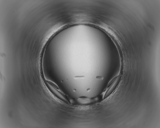 X0000090901333200708061457