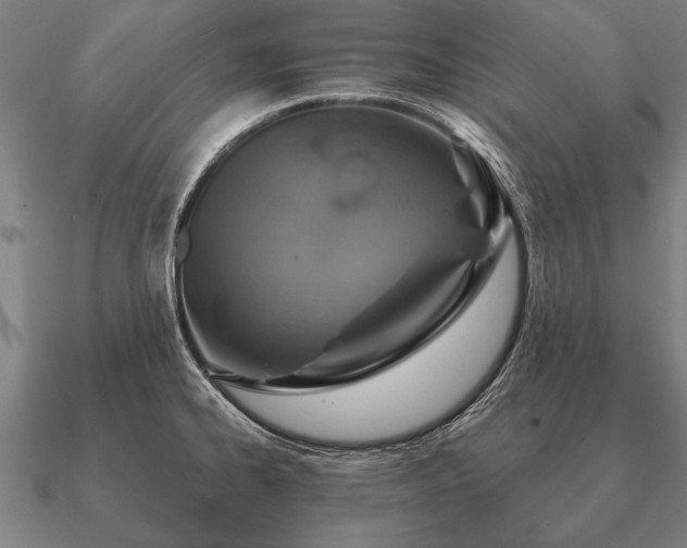 X0000090901334200708061457