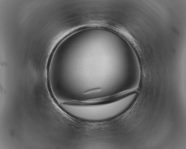 X0000090901335200708061457