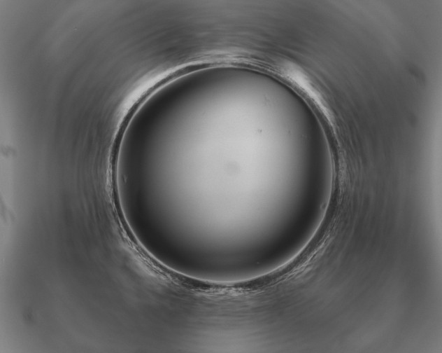 X0000090901336200708061457