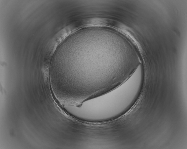 X0000090901337200708061457