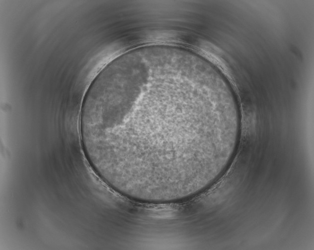 X0000090901338200708061457