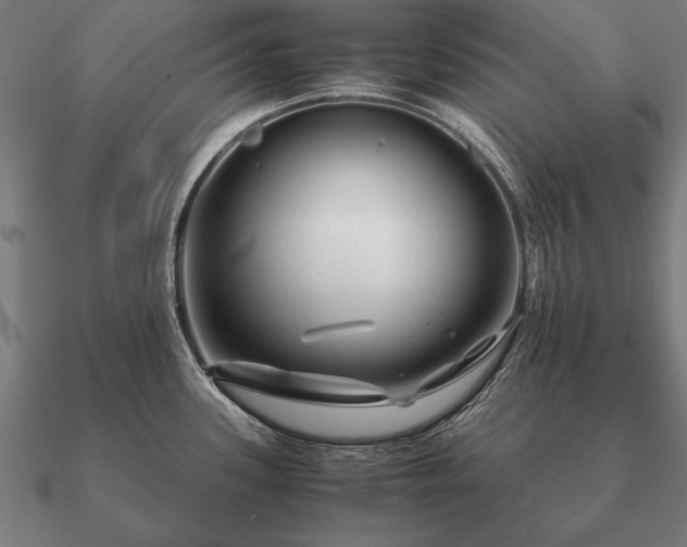 X0000090901339200708061457