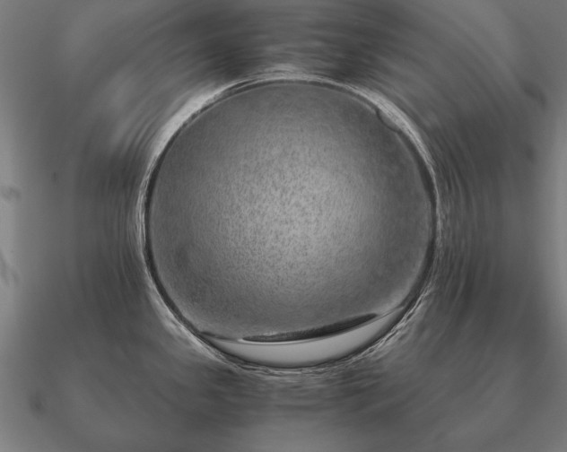 X0000090901341200708061457