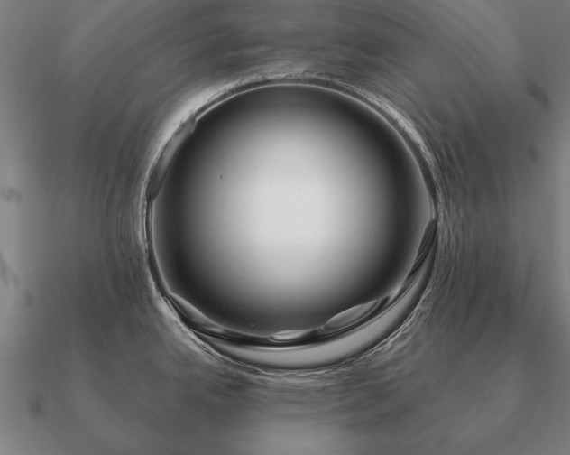 X0000090901342200708061457